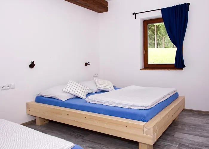 Guest house Albert 3*