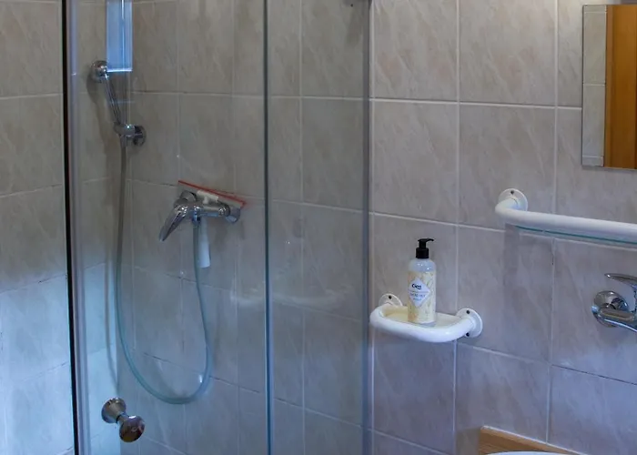 Guest house Albert 3*