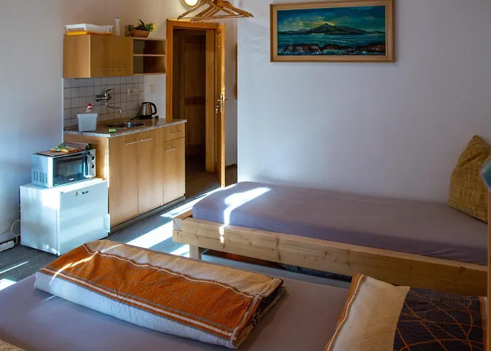 Albert Guest house