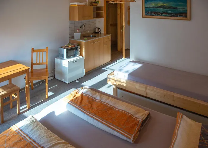 Guest house Albert 3*